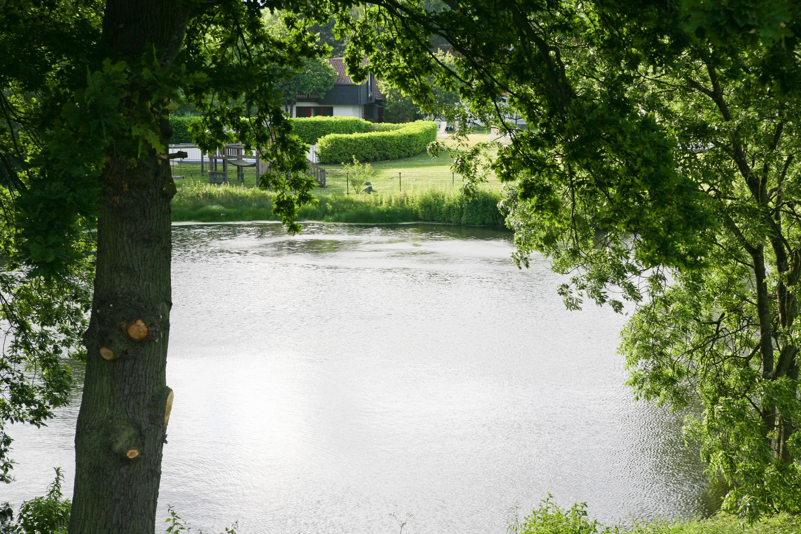 Teich