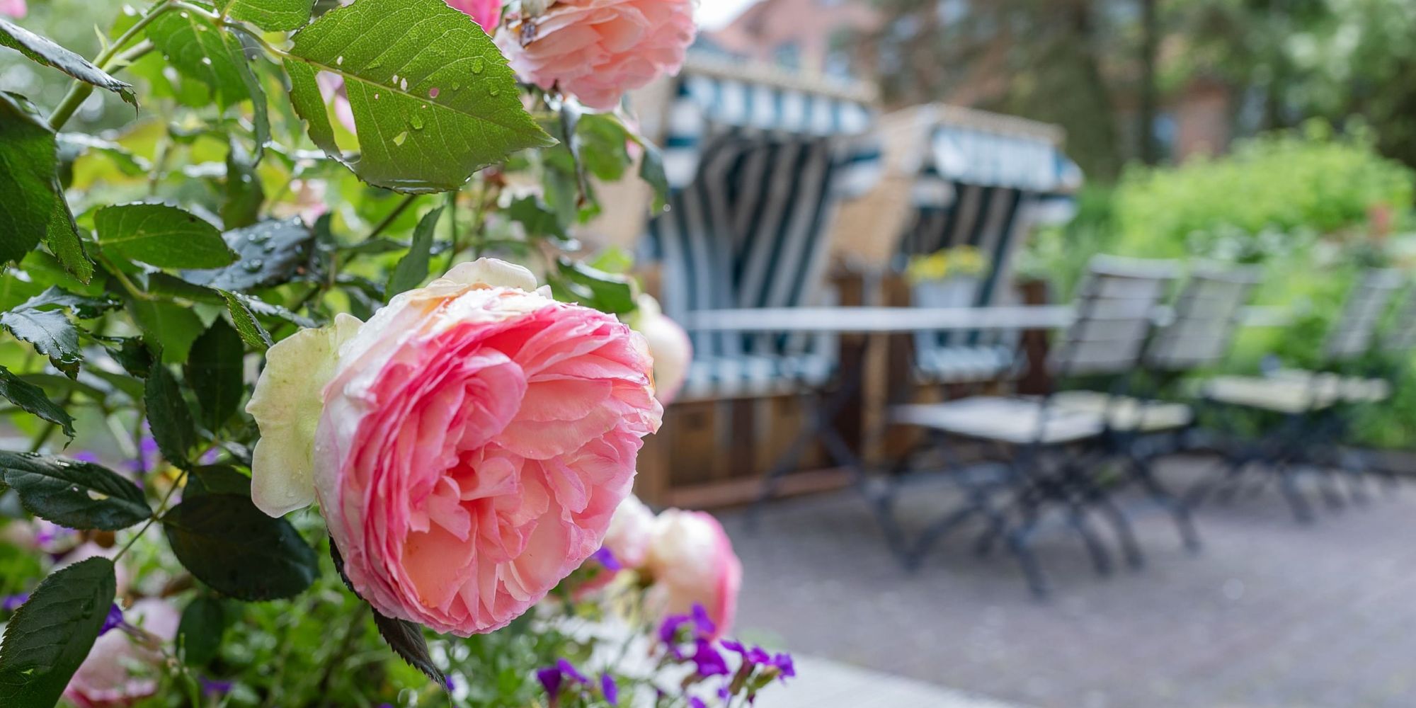 Blumen Terrasse