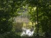 Sicht durch Bäume am Teich
