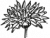Logo Bildmarke